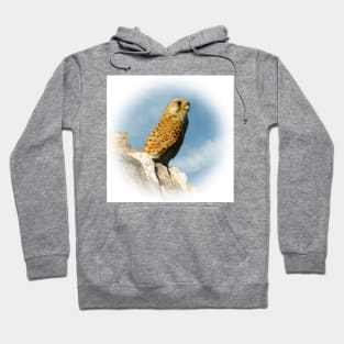 Kestrel Hoodie